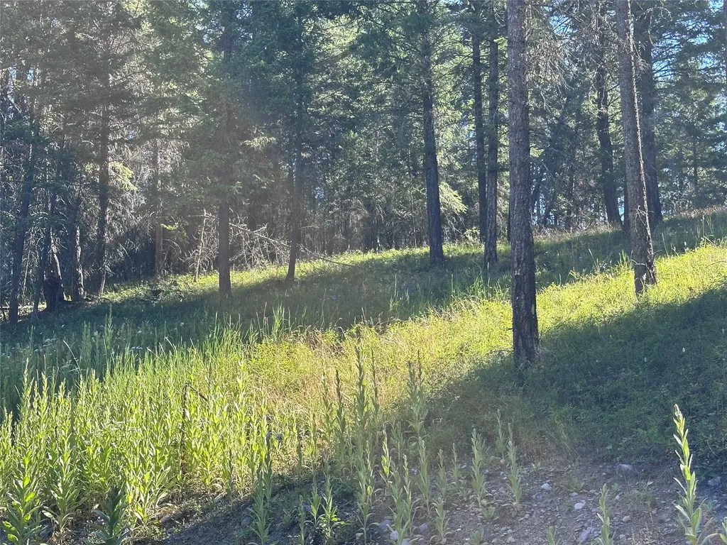 196 Belterra Lane Bigfork MT 59911