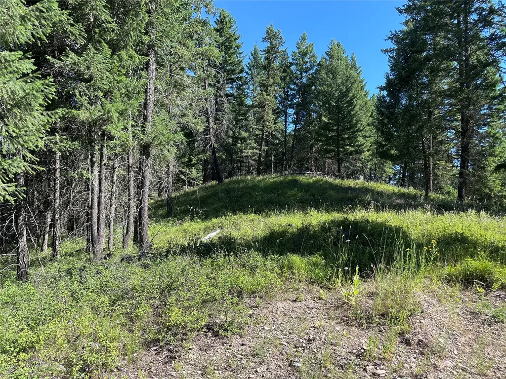 196 Belterra Lane Bigfork MT 59911