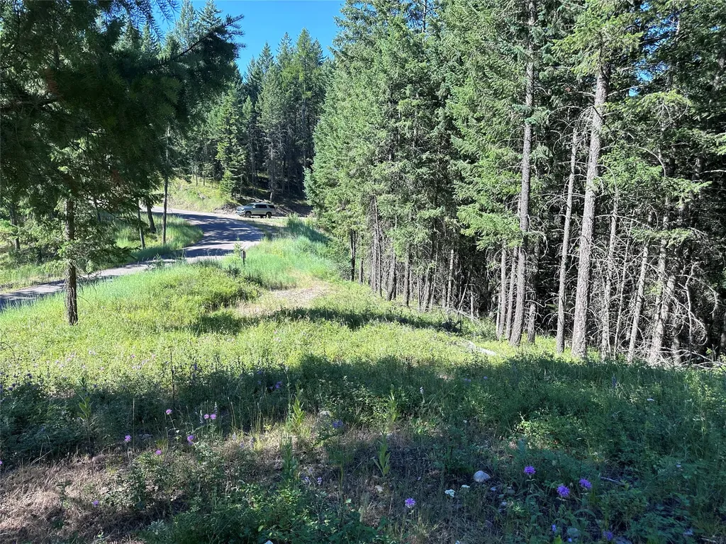 196 Belterra Lane Bigfork MT 59911