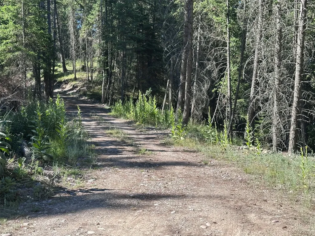 196 Belterra Lane Bigfork MT 59911