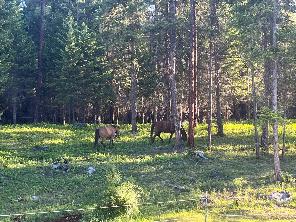 190 Harlow Road Thompson Falls MT 59873
