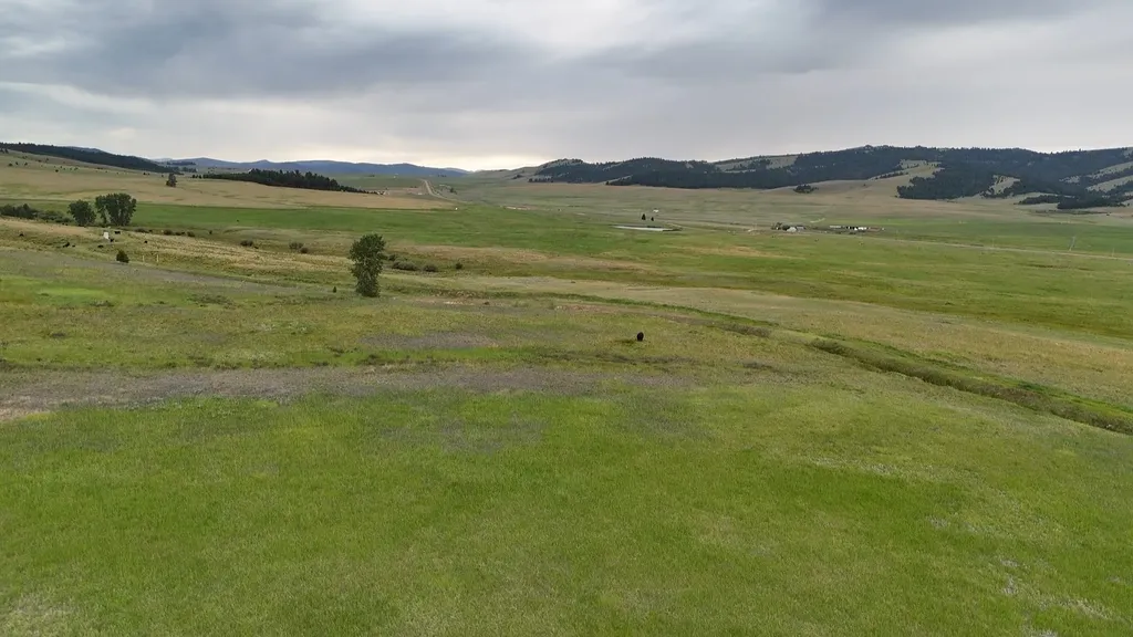 Nhn Meadow View Philipsburg MT 59858