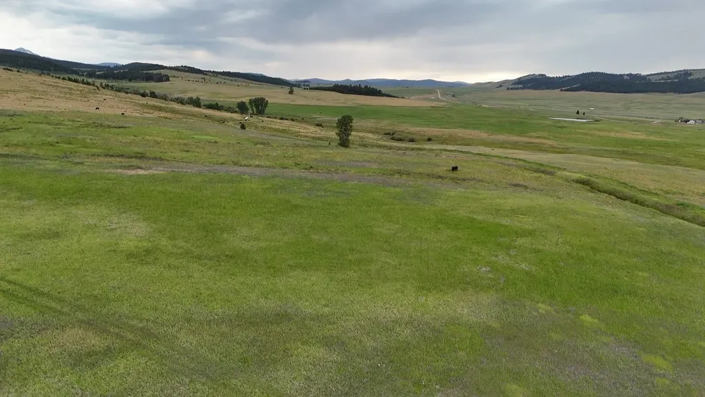 Nhn Meadow View Philipsburg MT 59858