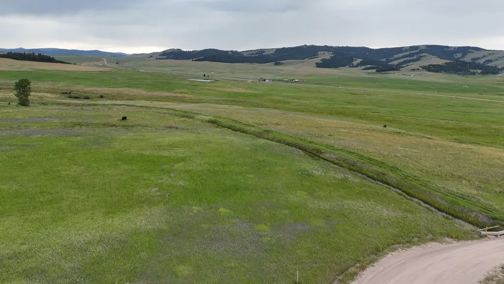 Nhn Meadow View Philipsburg MT 59858