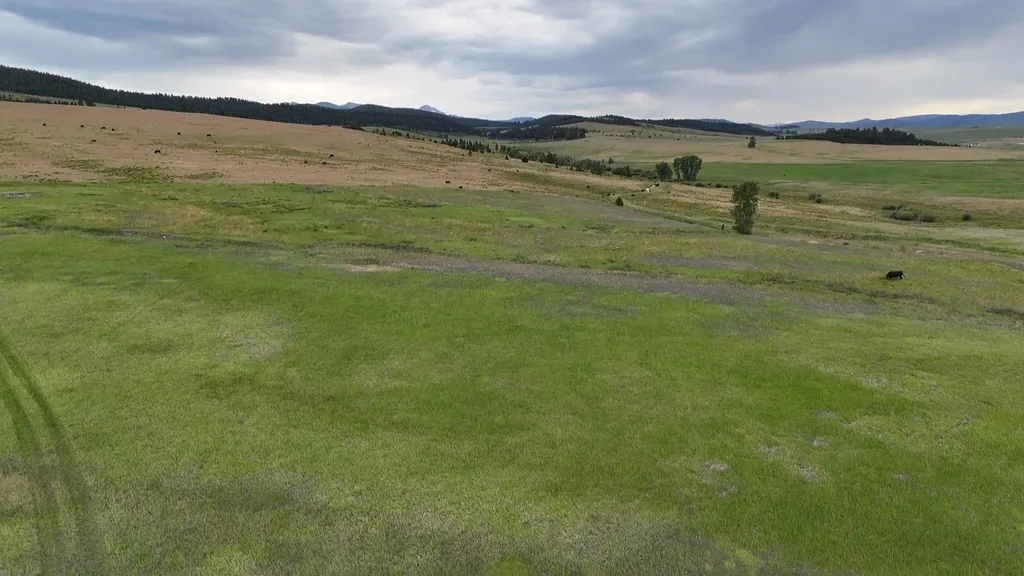 Nhn Meadow View Philipsburg MT 59858