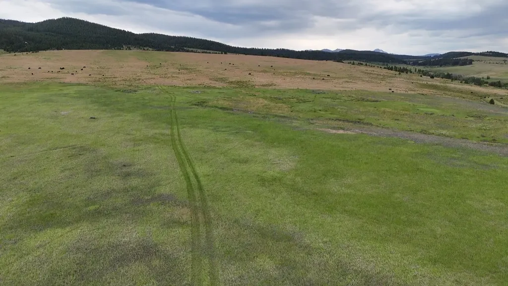 Nhn Meadow View Philipsburg MT 59858