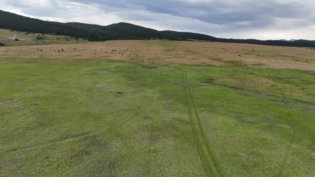 Nhn Meadow View Philipsburg MT 59858