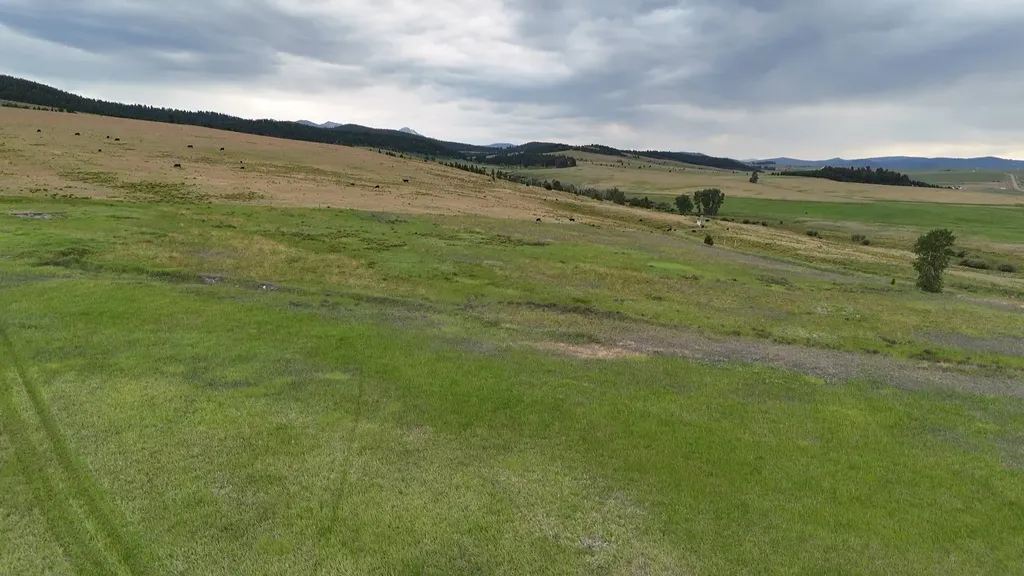 Nhn Meadow View Philipsburg MT 59858