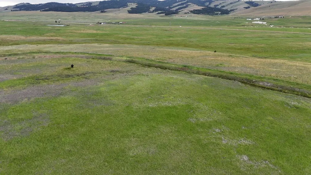Nhn Meadow View Philipsburg MT 59858