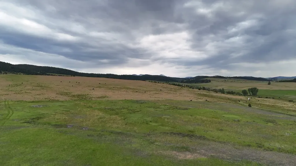 Nhn Meadow View Philipsburg MT 59858
