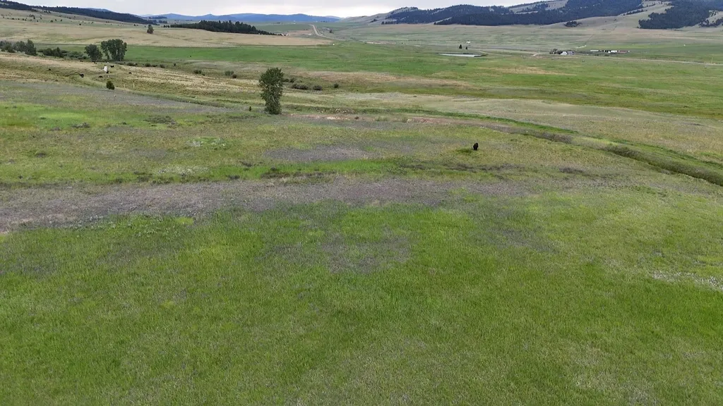 Nhn Meadow View Philipsburg MT 59858