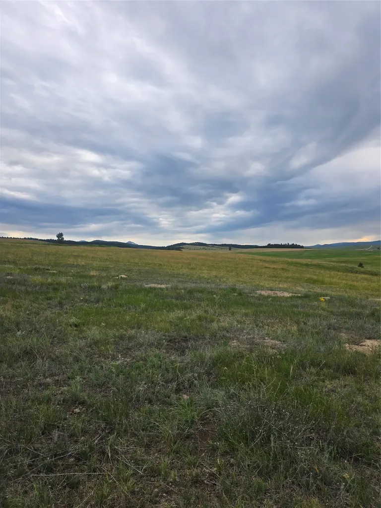 Nhn Meadow View Philipsburg MT 59858