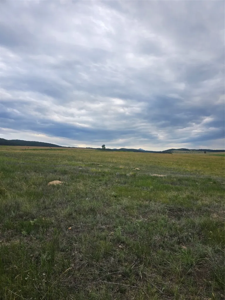 Nhn Meadow View Philipsburg MT 59858