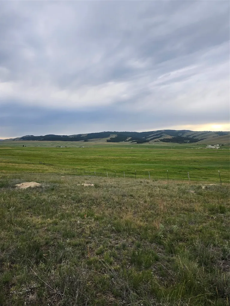 Nhn Meadow View Philipsburg MT 59858