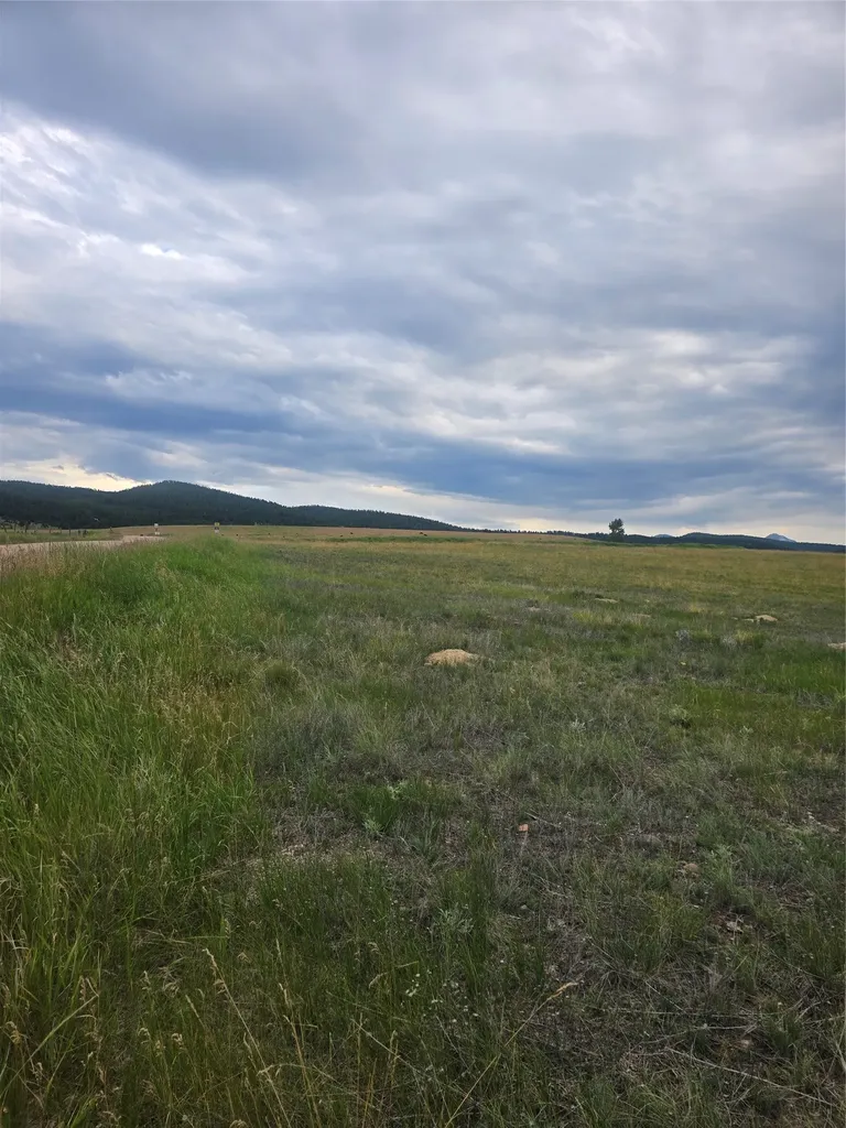 Nhn Meadow View Philipsburg MT 59858