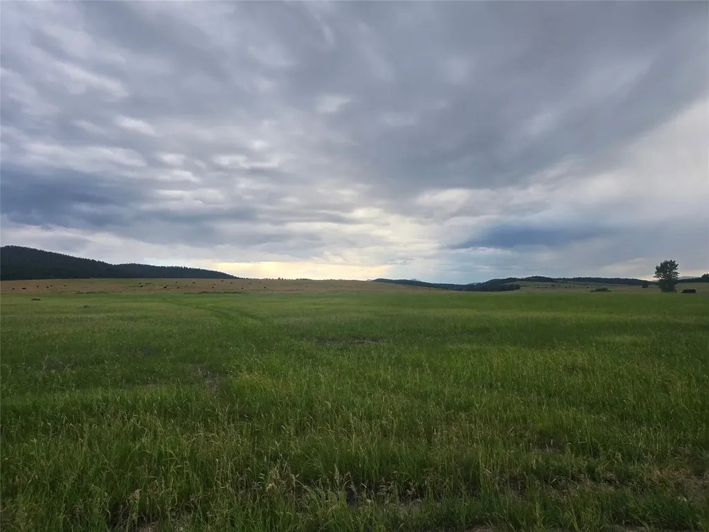 Nhn Meadow View Philipsburg MT 59858