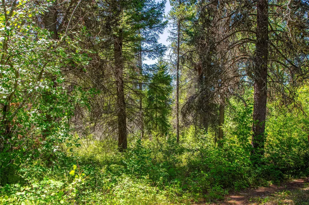 11315 Us Hwy 2 E West Glacier MT 59936