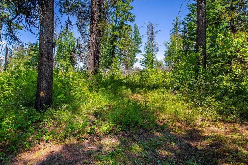 11315 Us Hwy 2 E West Glacier MT 59936