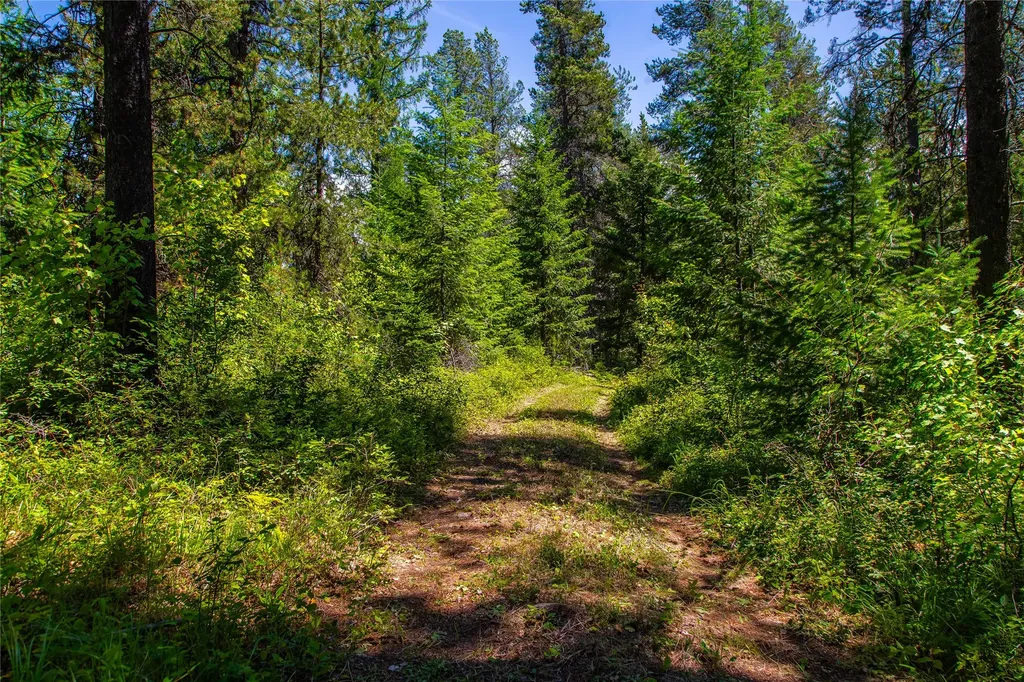 11315 Us Hwy 2 E West Glacier MT 59936