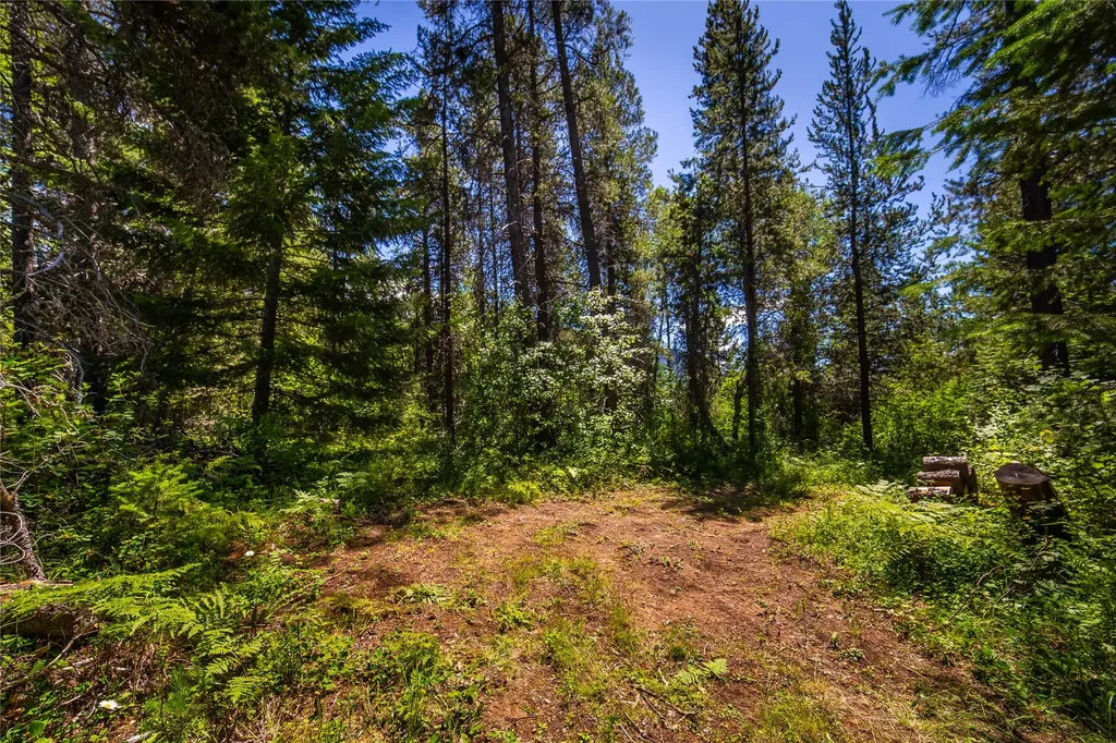11315 Us Hwy 2 E West Glacier MT 59936