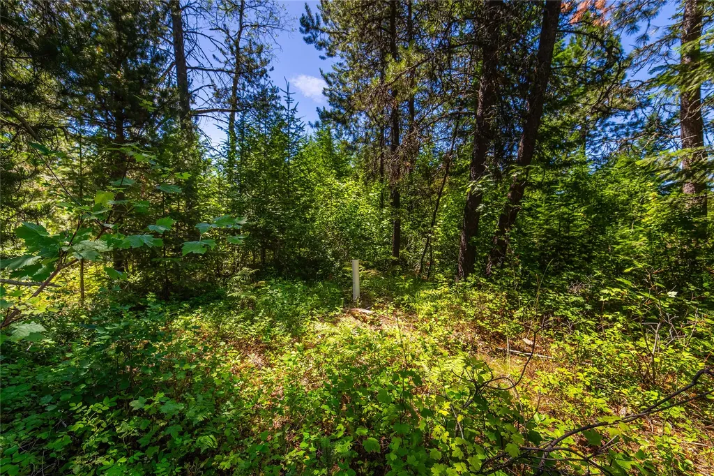 11315 Us Hwy 2 E West Glacier MT 59936