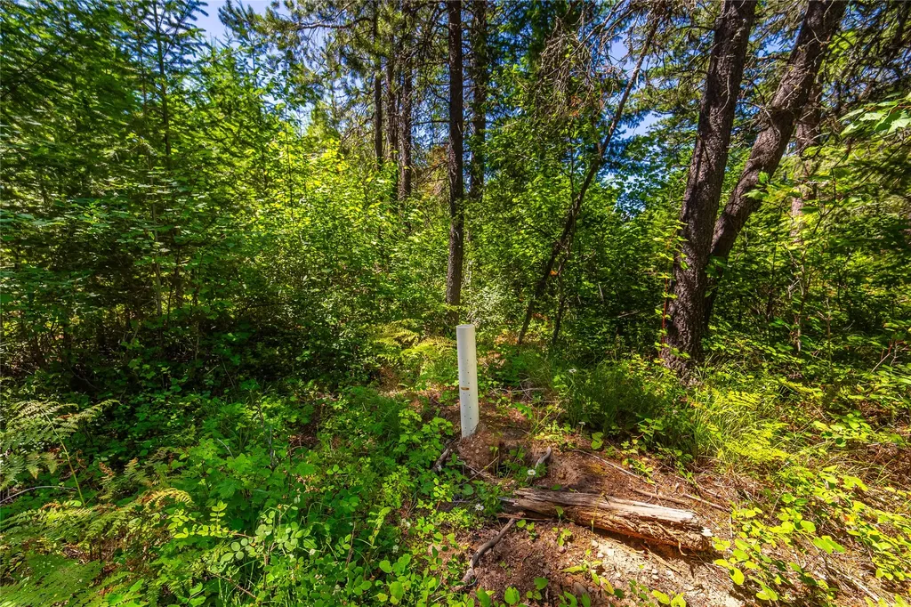 11315 Us Hwy 2 E West Glacier MT 59936