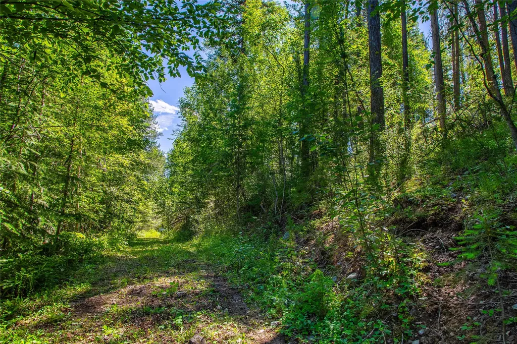 11315 Us Hwy 2 E West Glacier MT 59936
