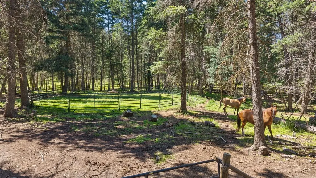 1105 Mountain Meadow Road Kalispell MT 59901