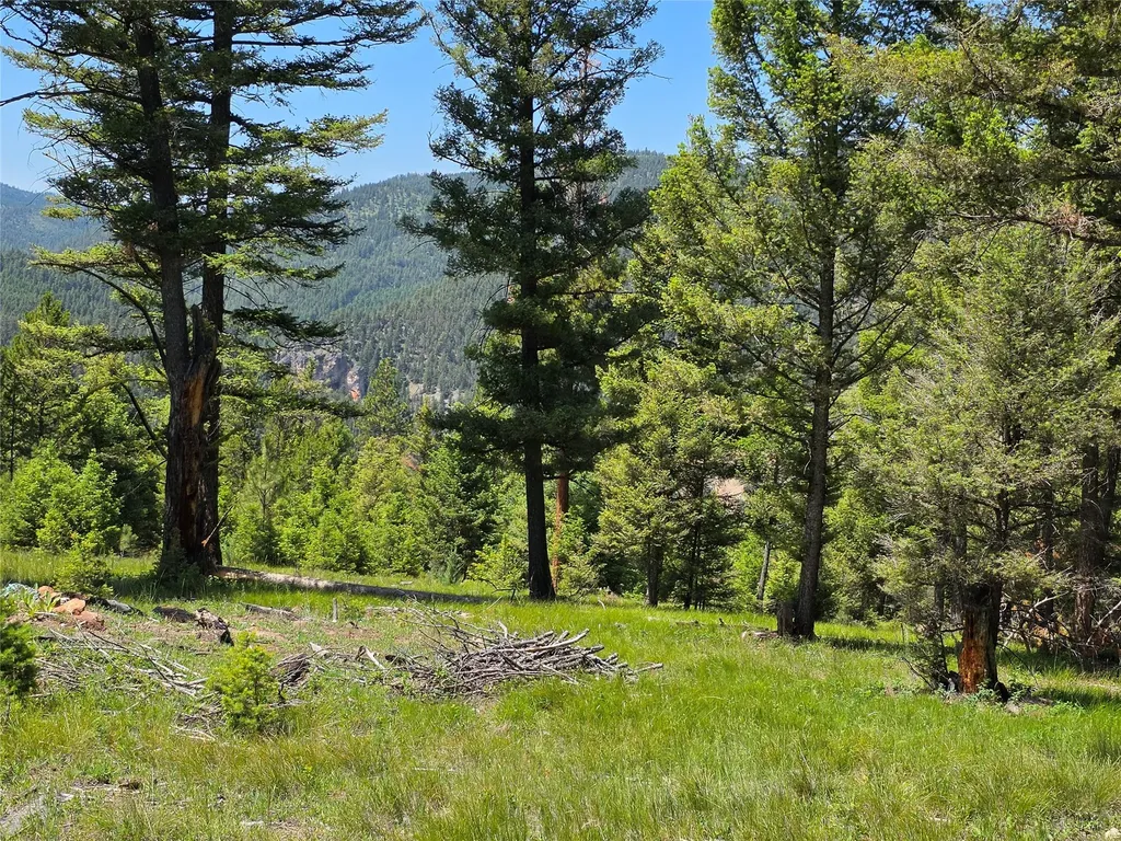 202 Packer Gulch Drummond MT 59832