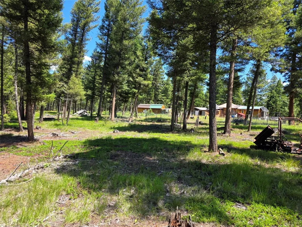 202 Packer Gulch Drummond MT 59832