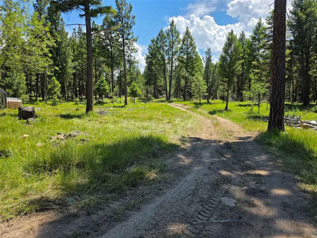 202 Packer Gulch Drummond MT 59832