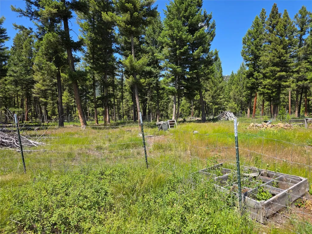 202 Packer Gulch Drummond MT 59832