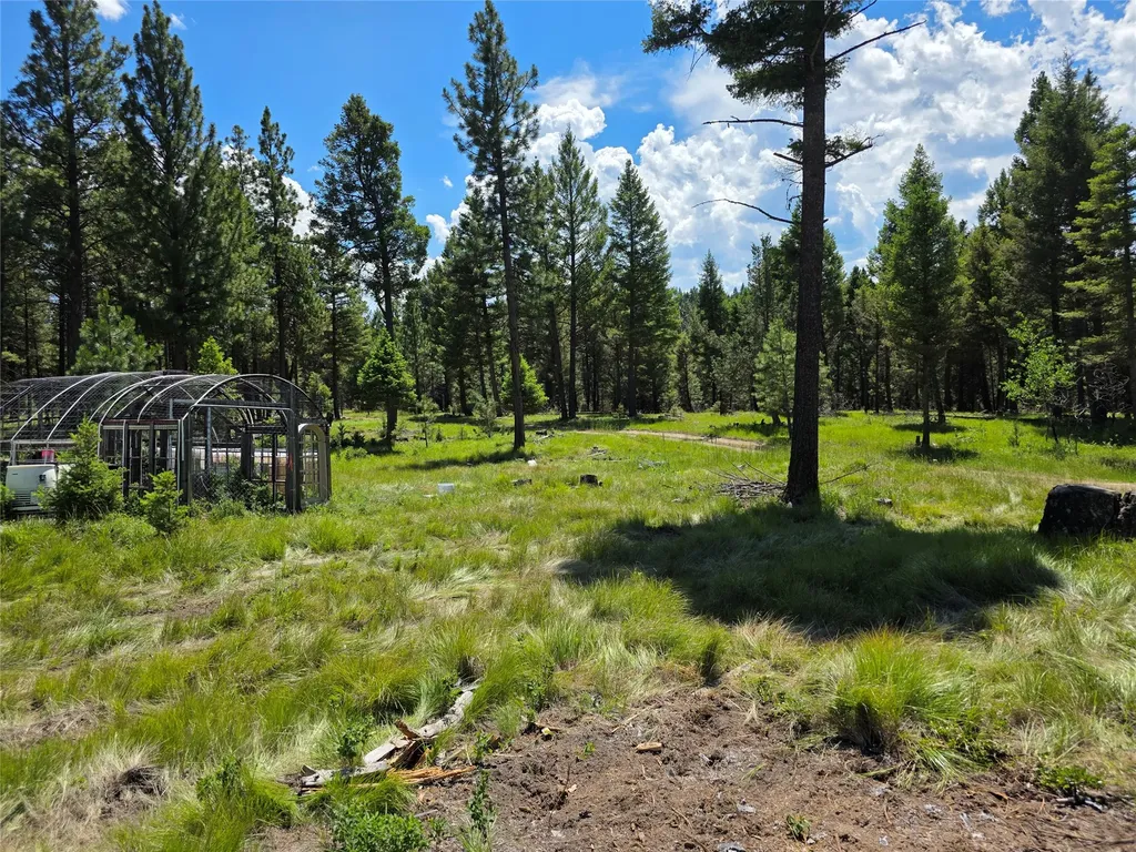 202 Packer Gulch Drummond MT 59832