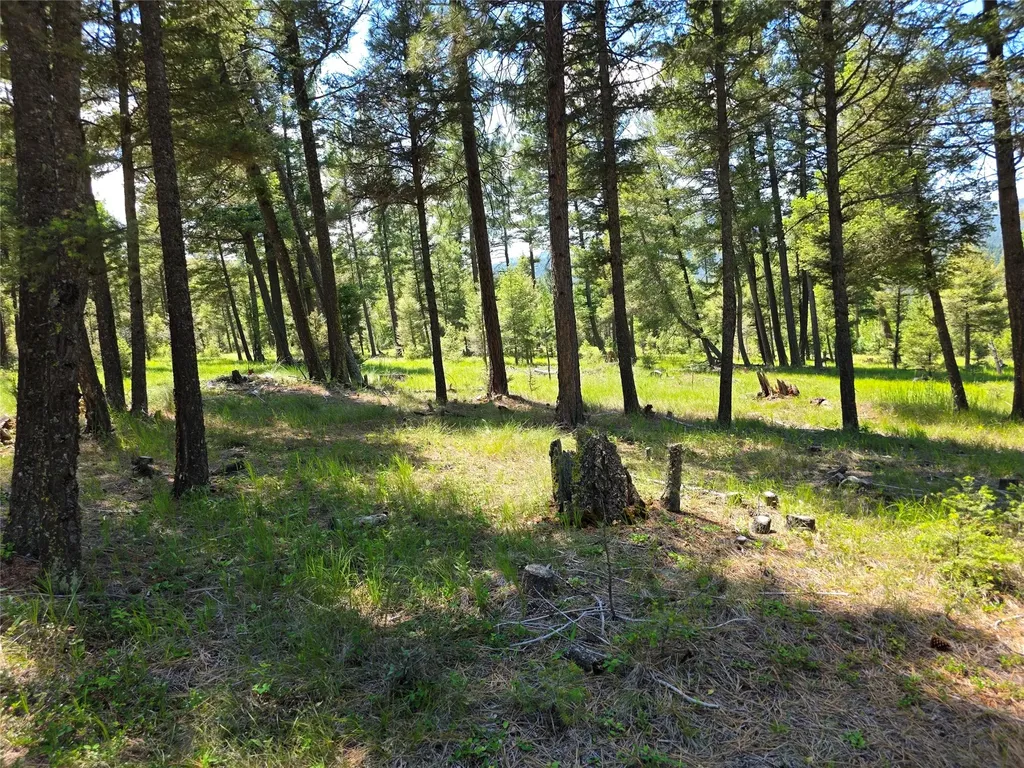 202 Packer Gulch Drummond MT 59832