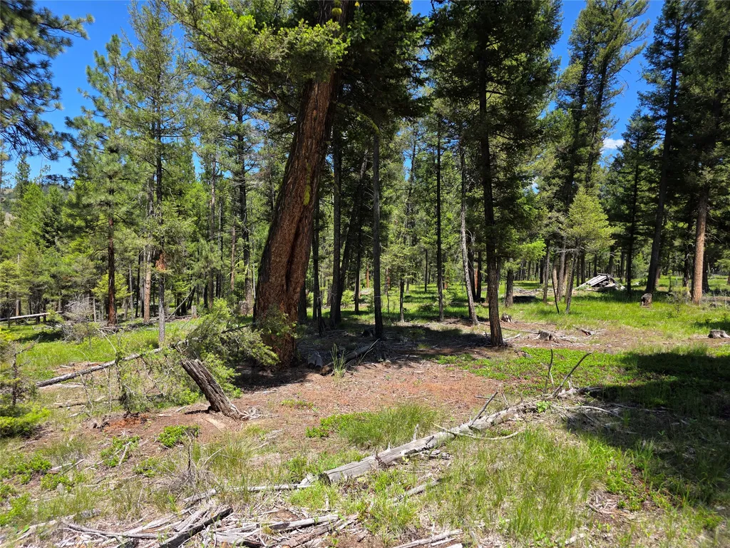 202 Packer Gulch Drummond MT 59832