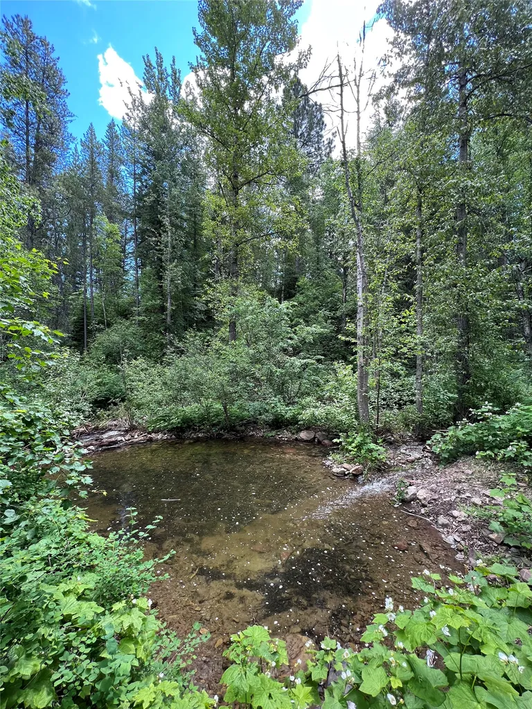 920 & 928 Bailey Drive Columbia Falls MT 59912