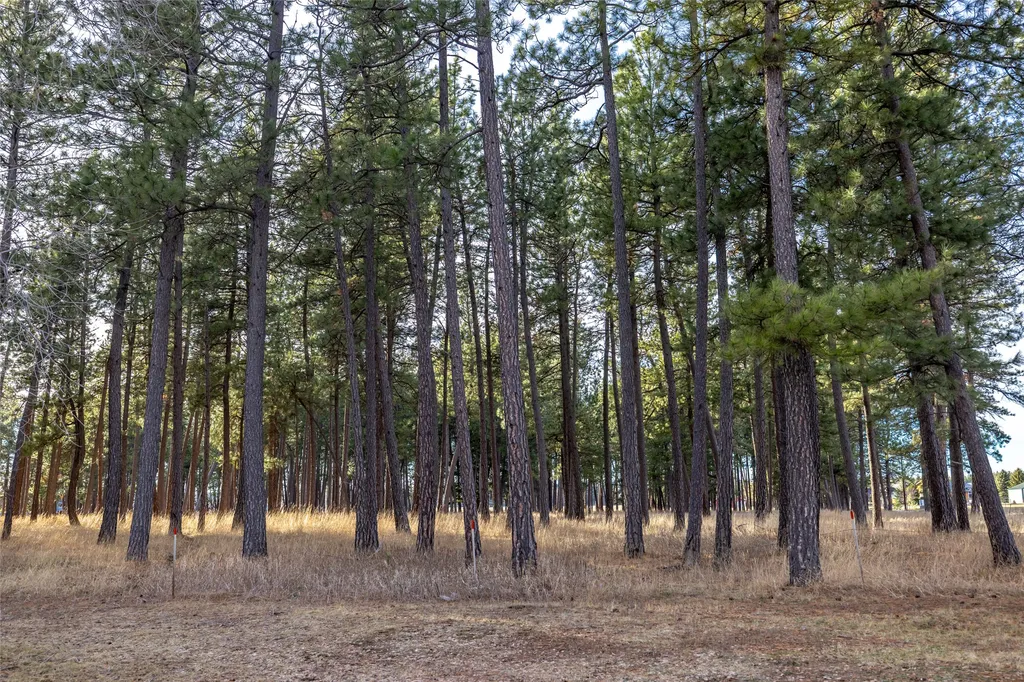 295 Jensen Road Columbia Falls MT 59912