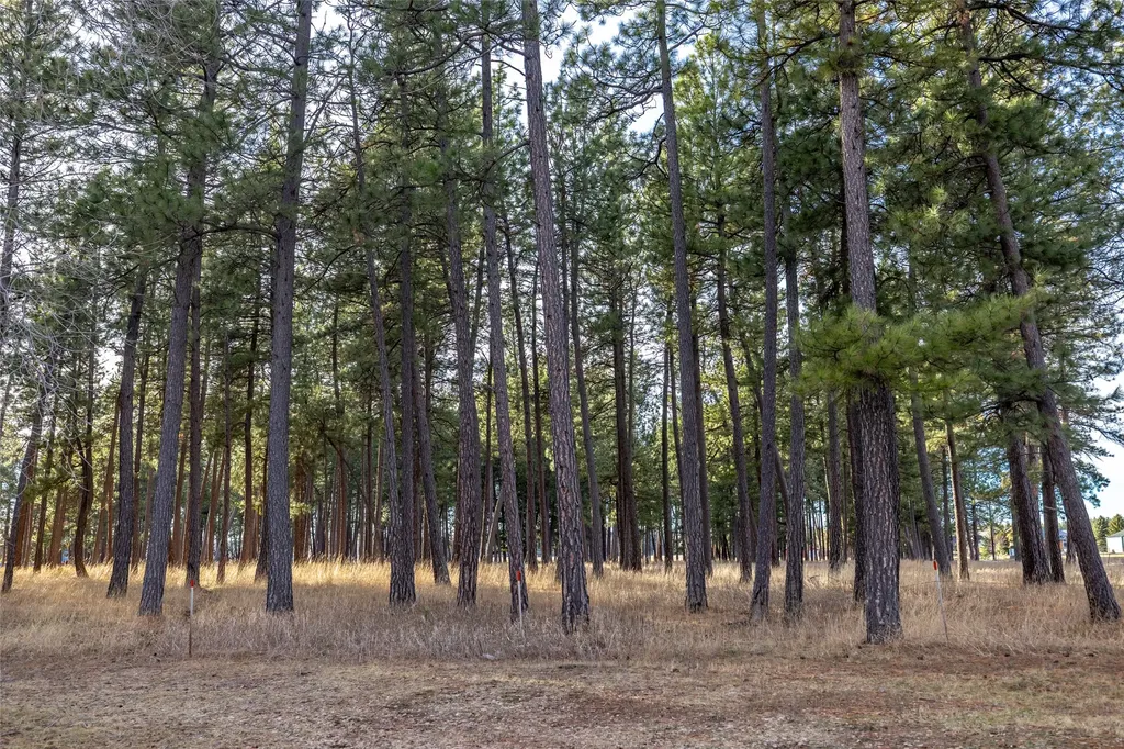 295 Jensen Road Columbia Falls MT 59912