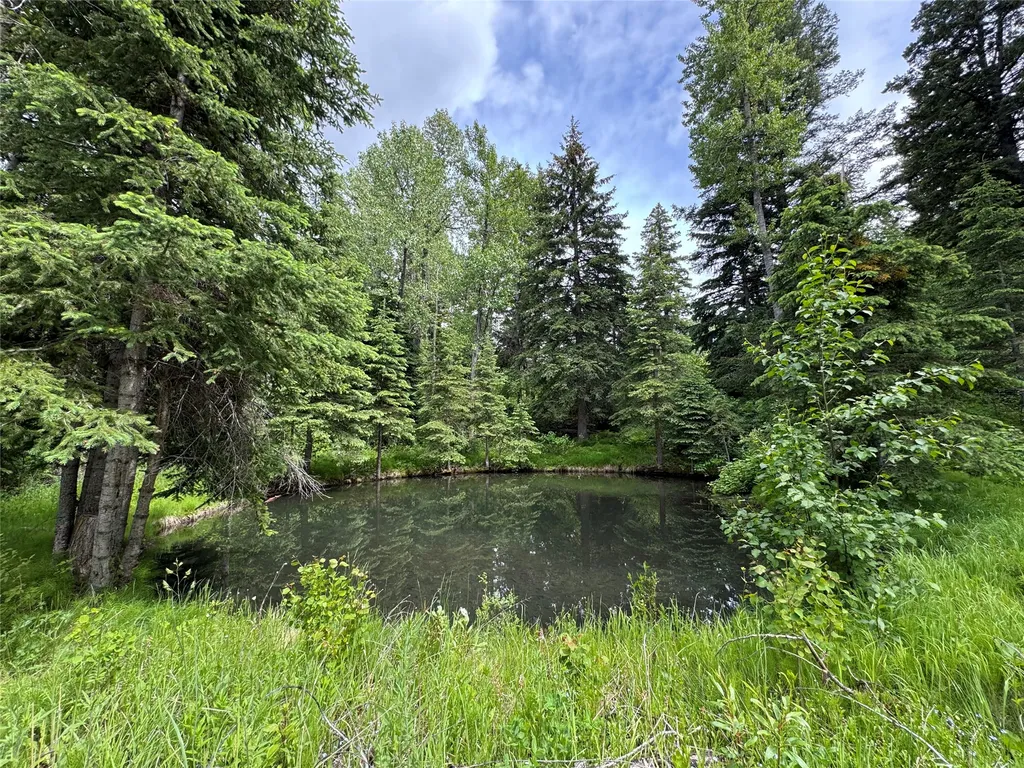 3434 Rimini Road Helena MT 59601