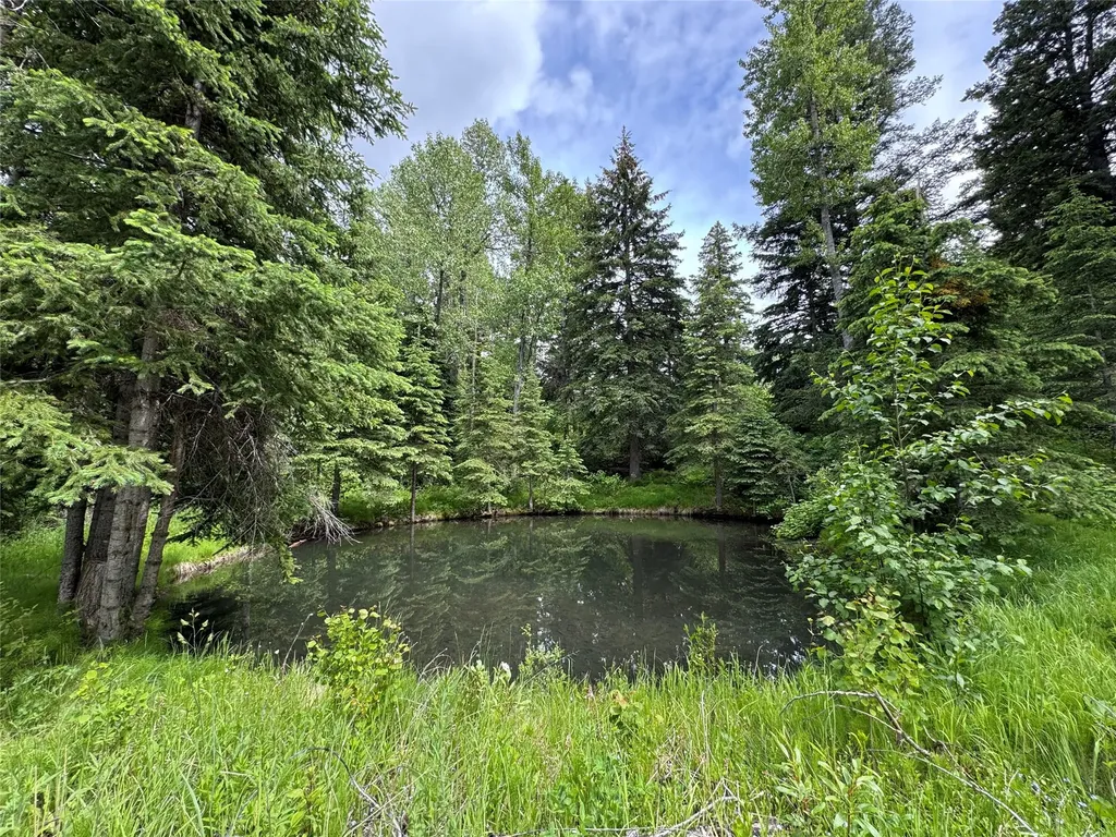 3434 Rimini Road Helena MT 59601