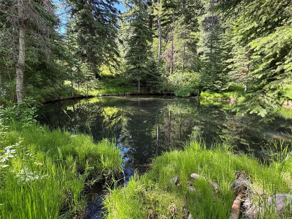 3434 Rimini Road Helena MT 59601