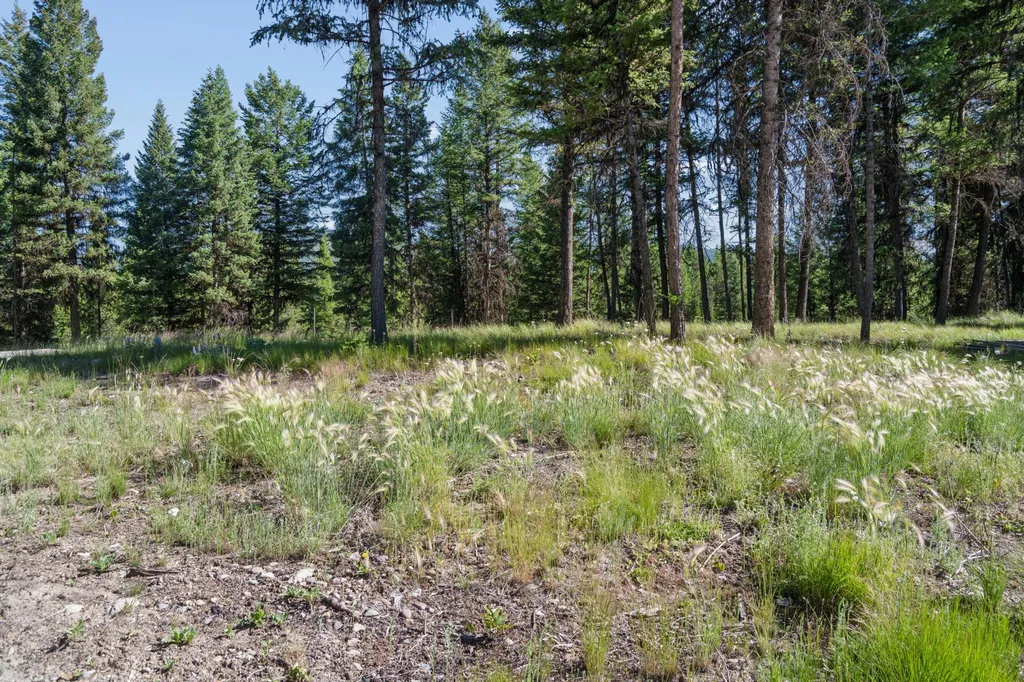 389 Marion Pines Drive Marion MT 59925