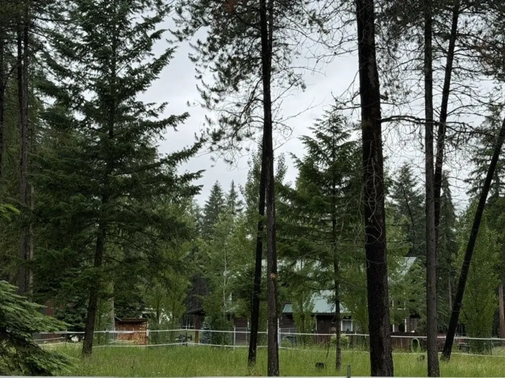 58 Fir Drive Thompson Falls MT 59873