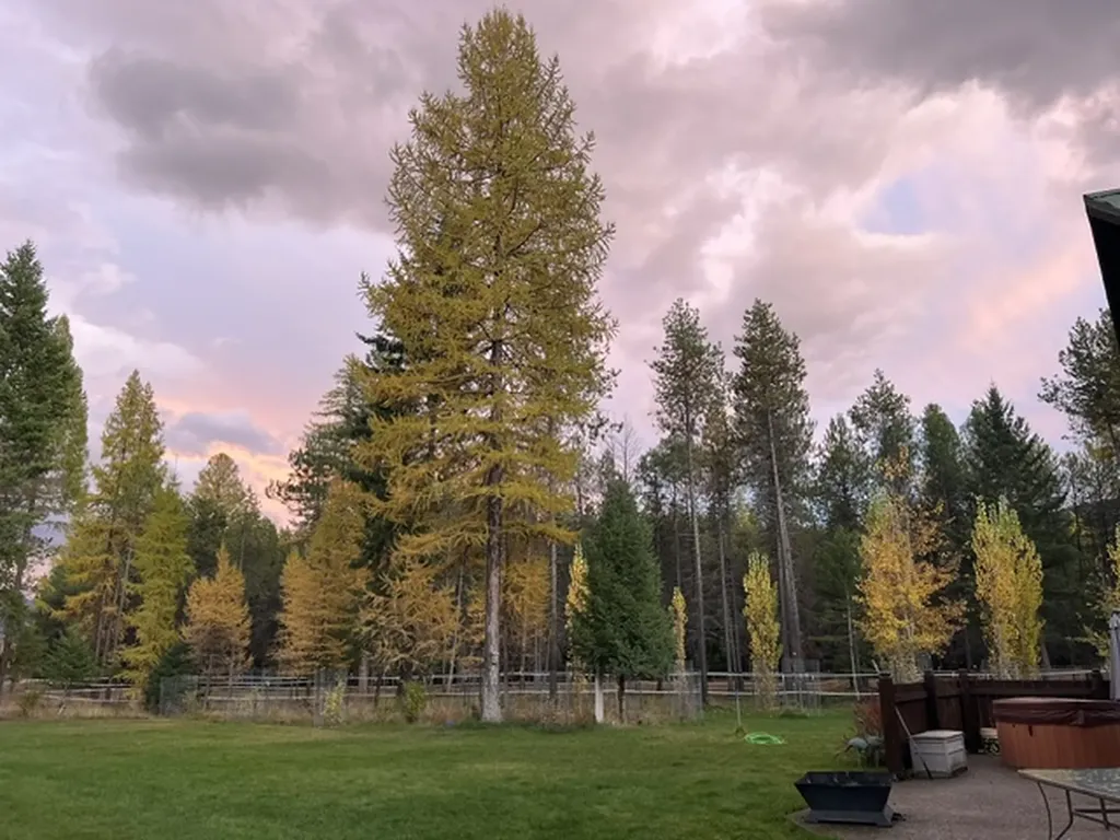 58 Fir Drive Thompson Falls MT 59873