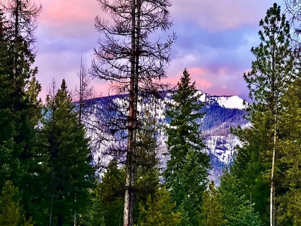 58 Fir Drive Thompson Falls MT 59873