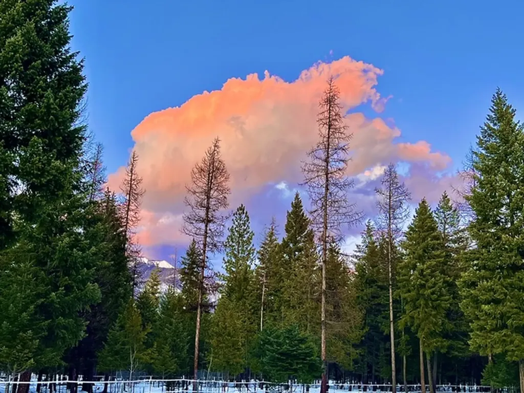 58 Fir Drive Thompson Falls MT 59873