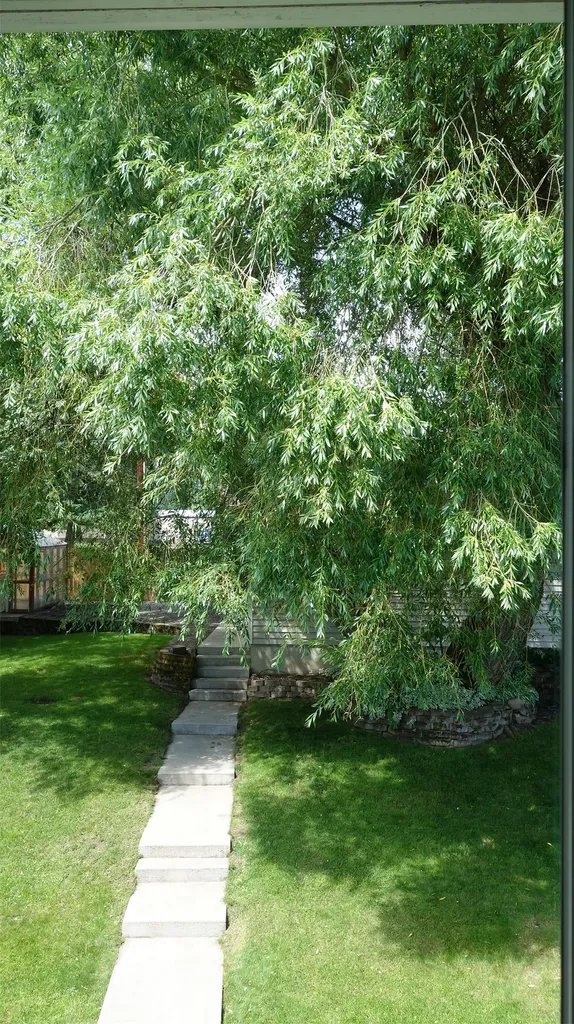 114 Highwood Drive Libby MT 59923