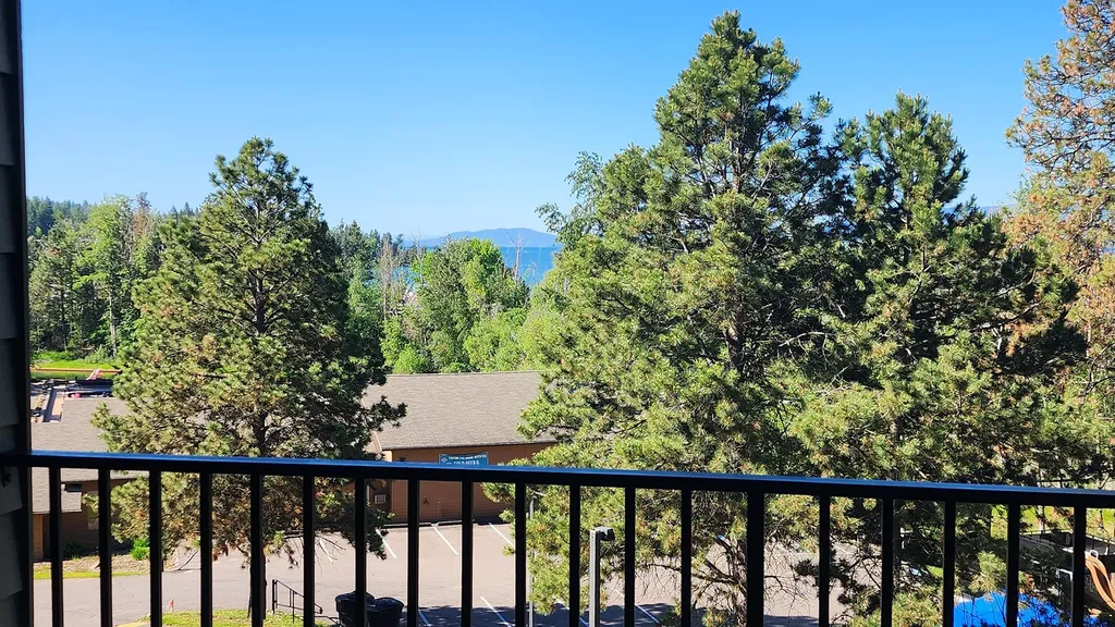 180 Vista Lane Bigfork MT 59911