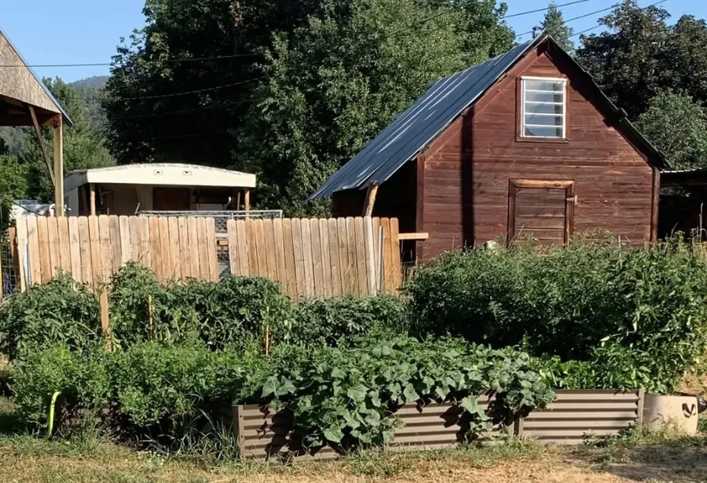 201 Main Street St Regis MT 59866