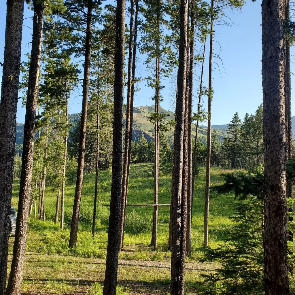 16221 Grizzly Lane Augusta MT 59410